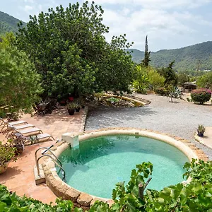 https://robbys-ibiza.ibizaislandhotels.net